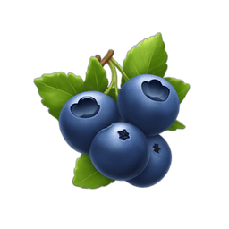 Blueberries