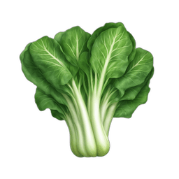 Bok Choy