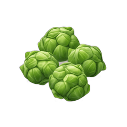 Brussels Sprouts