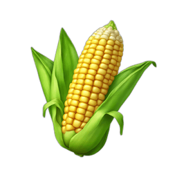 Corn