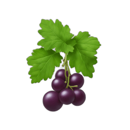 Currants