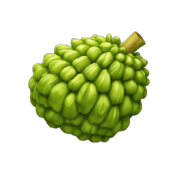 Jackfruit