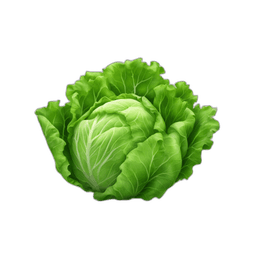 Lettuce