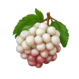 Lychee