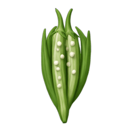 Okra