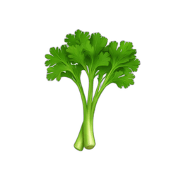 Parsley