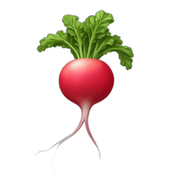 Radishes