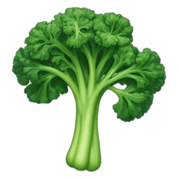 Rapini