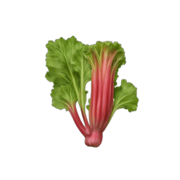 Rhubarb